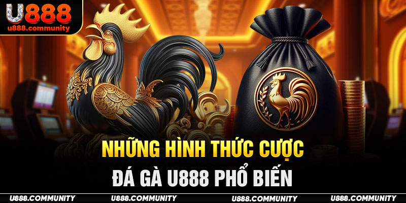 Những hình thức cược đá gà U888 phổ biến