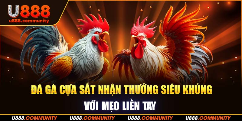 Đá Gà Cựa Sắt Nhận Thưởng Siêu Khủng Với Mẹo Cực Tay